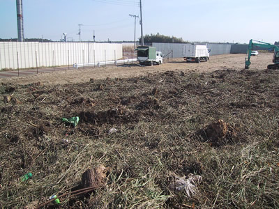 ���ڹ��ʤ���ΰ��ڶ�ͭ��