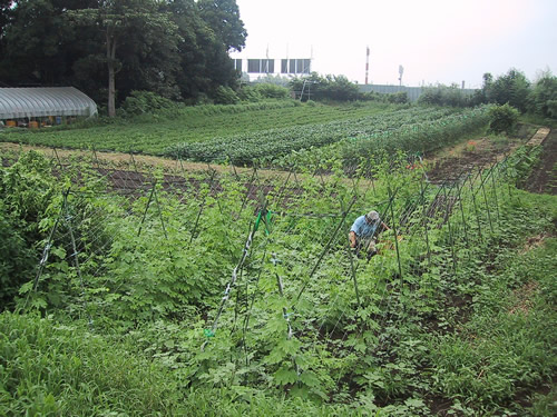 ���줵���Ȫ