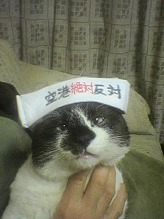 �ܥ����Ҥä������ߤ����ʥ��������ζ������˥��