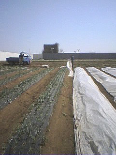 ���ߥ��Ȥڤ�ڤ���ʤʤ��ʡ�