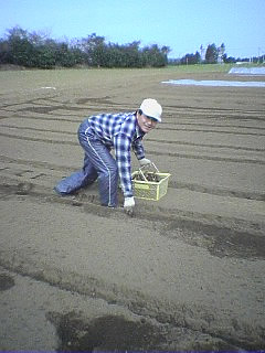 ���ƥƥƥƥ�