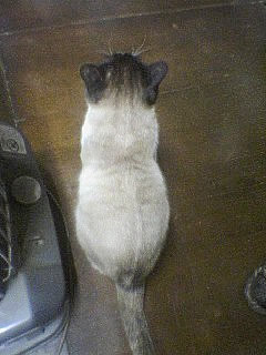 ちょっと遊んじゃいました