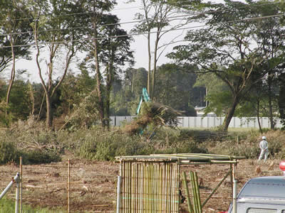 �����ο�Ȳ�Σ�