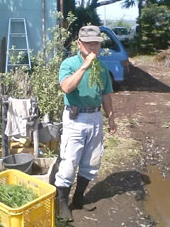 �ˤ󤸤�򤫤�����줵��