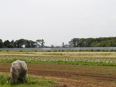 �븶�����𤫤鸫�������ο�