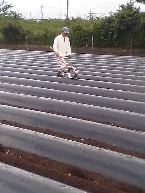 ���ĥޥ�����Ĥ򿢤��Ĥ����򳫤��Ƥ���