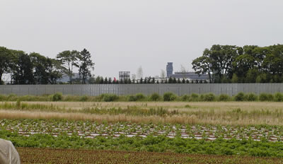 Ȳ�Τ��줿�����ο�