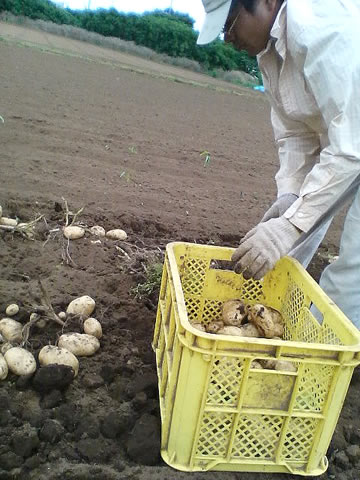 ���ƥƥƥƥá�