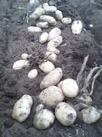 ���Ф������㥬����