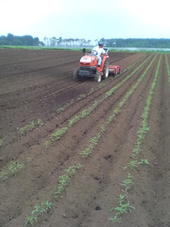 �߿ͻ���ޤ��ν���