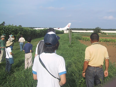 ����Ĵ��