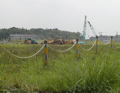 ��ͶƳϩ����