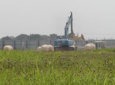 ��ͶƳϩ����