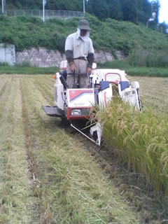 ����Х�������Τ��븶�ʤ���