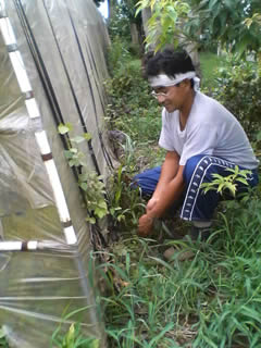 �������������䶯