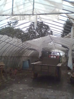 �����ǥӥˡ��뤬�Ϥ����줿�ϥ���