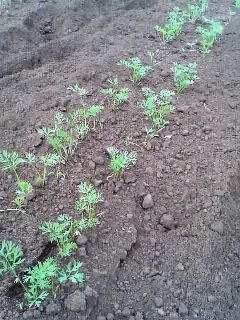 ����򽪤������줤�ʤˤ󤸤�Ȫ