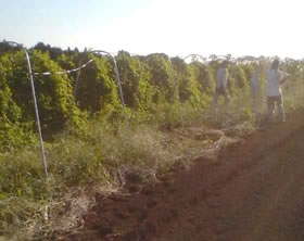 �˥�����θ夫���Ť�