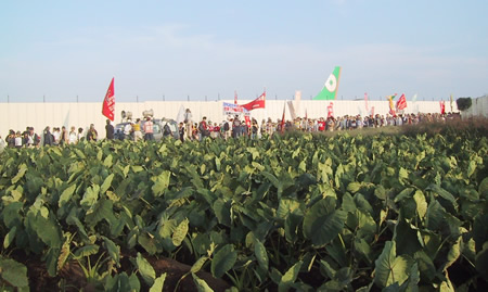 ���줵������Ϥ���̤�����