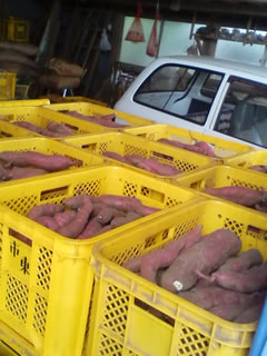 ����ƥʤ��äѤ��Υ��ĥޥ���