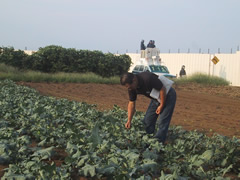 ����ƥʤ��äѤ��Υ��ĥޥ���