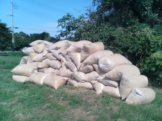 ��ߤ���ʤ�����Ǥϡ֤�����פȸ����ޤ���