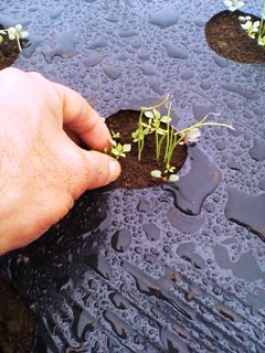 �̤ͤ�������